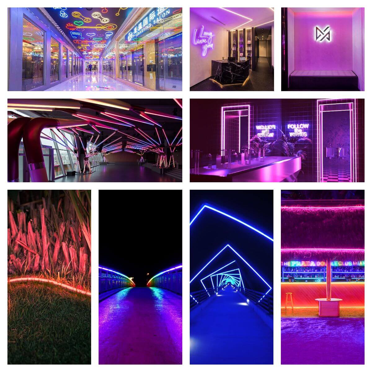 neon_application (1)