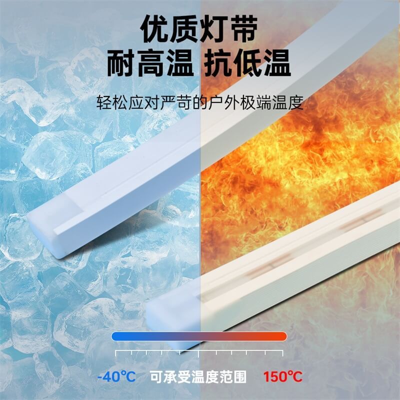 户外防水泳池灯带IP68一体注塑成型低压15x16正发光 - 5