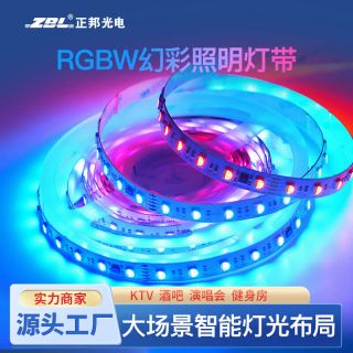 DMX512灯带RGBW幻彩四合一外置IC 60灯每米DC24V